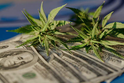 Overcoming Banking Obstacles in Cannabis