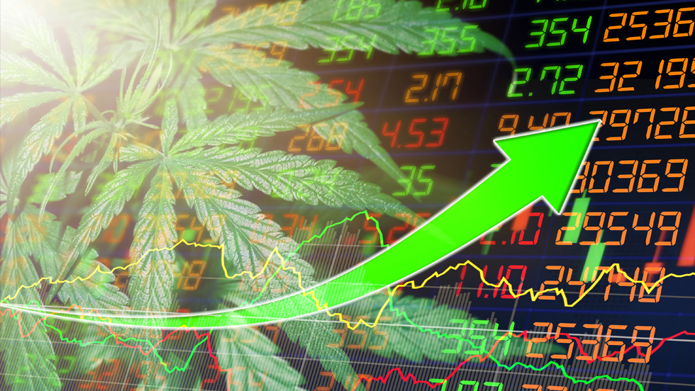 Cannabis Forecast: Financial Trends